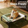 Elevated Pet Cot with Removable Bolster and Mesh Sleeping Surface