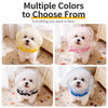 Polyester Mesh Muzzle for Small Dogs