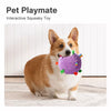 Soft Squeaky Ball Dog Toy