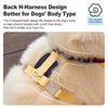 Dog Vest Harness with Leash