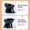 Ceramic Angled Elevated Pet Bowl