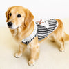 Lightweight Cotton Pet Shirt for Dogs and Cats