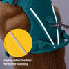 Nylon Dog Harness with Leash