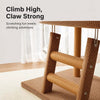 Oval Cat Bed and Sisal Scratcher