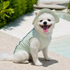 Lightweight Mesh Reflective Dog Vest