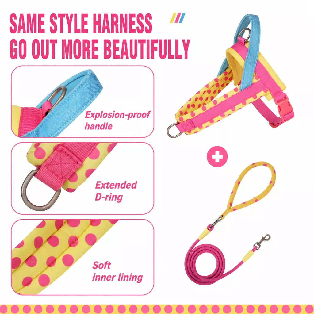 Dog Leash for Everyday Walks