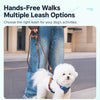 Adjustable Polyester Dog Harness