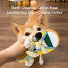 Squeaky Slipper Dog Toy