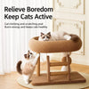 Oval Cat Bed and Sisal Scratcher
