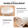 Cheese-Shaped Raised Ceramic Double Bowl Set for Cats and Dogs