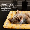 PVC Pet Rest Mat