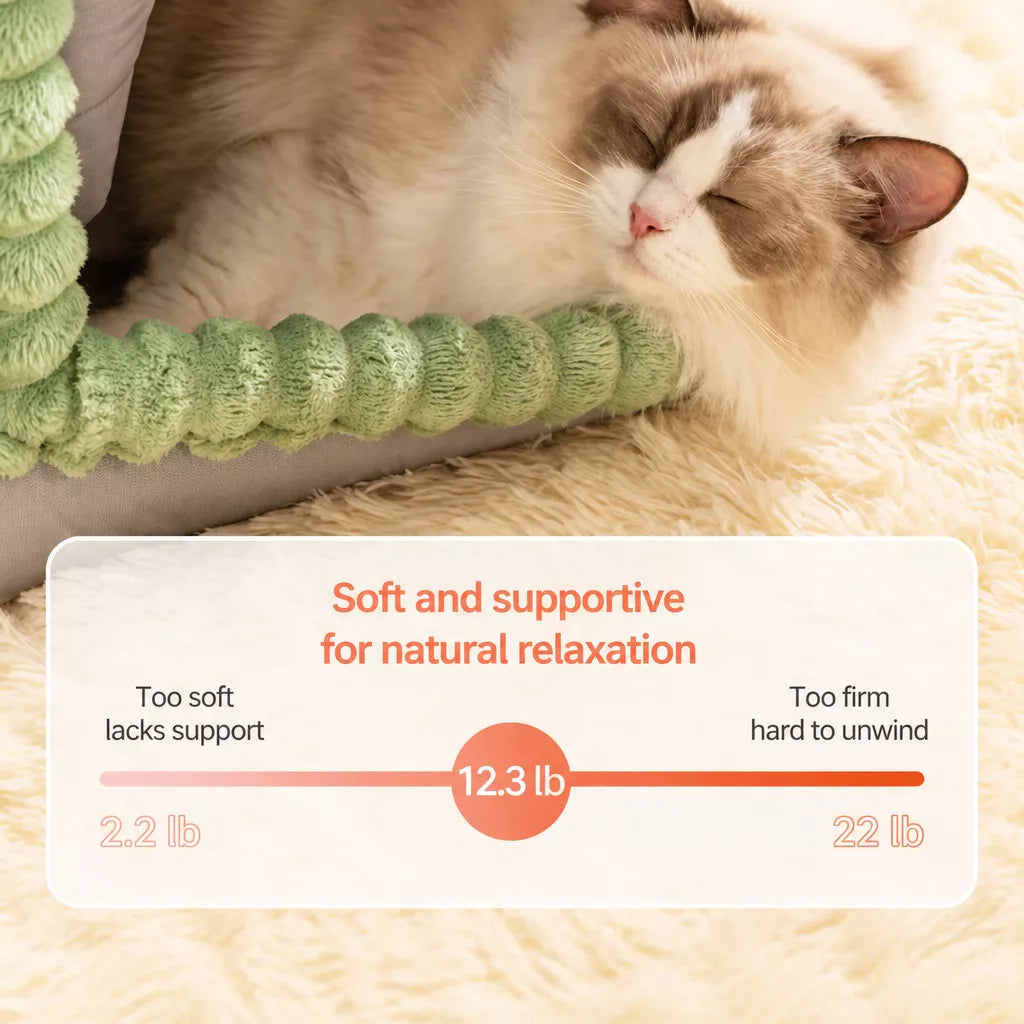 Enclosed House-Style Pet Bed for Cats and Dogs