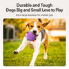Soft Squeaky Ball Dog Toy
