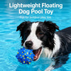 Durable Dog Ball Toy for Chewing and Interactive Play