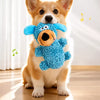 Squeaky Tug Toy for Small & Medium Dogs