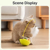 Cat Tumbler Teaser Toy with Feather and Catnip Ball