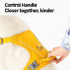 Nylon Dog Harness with Leash