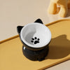 Elevated Ceramic Pet Bowl with Stand