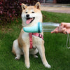 Portable Dog Water Bottle and Feeding Cup for Outdoor Use
