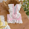 Lightweight Pet Harness Dress with Leash for Small Dogs and Cats