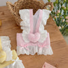 Lightweight Pet Harness Dress with Leash for Small Dogs and Cats