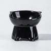 Ceramic Angled Elevated Pet Bowl