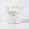 Ceramic Angled Elevated Pet Bowl