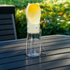 Portable Pet Water Bottle with Drinking Cup