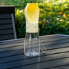 Portable Pet Water Bottle with Drinking Cup