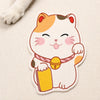 Self-Adhesive Wall Cat Scratcher