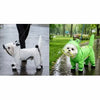 Frog Full-Coverage Raincoat for Dogs with Leash Opening