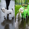 Frog Full-Coverage Raincoat for Dogs with Leash Opening