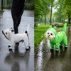 Frog Full-Coverage Raincoat for Dogs with Leash Opening