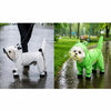 Frog Full-Coverage Raincoat for Dogs with Leash Opening