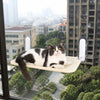 Cat Window Hammock Bed with Suction Cups