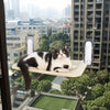 Cat Window Hammock Bed with Suction Cups