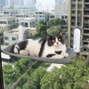 Cat Window Hammock Bed with Suction Cups