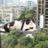 Cat Window Hammock Bed with Suction Cups