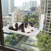 Cat Window Hammock Bed with Suction Cups