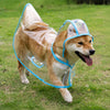 Transparent Waterproof Dog Raincoat