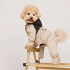 Four-Leg Dog Raincoat for Small Dogs