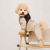 Four-Leg Dog Raincoat for Small Dogs