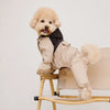 Four-Leg Dog Raincoat for Small Dogs