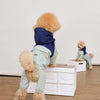 Four-Leg Dog Raincoat for Small Dogs