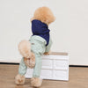 Four-Leg Dog Raincoat for Small Dogs
