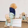 Four-Leg Dog Raincoat for Small Dogs