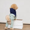 Four-Leg Dog Raincoat for Small Dogs