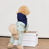 Four-Leg Dog Raincoat for Small Dogs