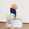 Four-Leg Dog Raincoat for Small Dogs