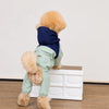 Four-Leg Dog Raincoat for Small Dogs